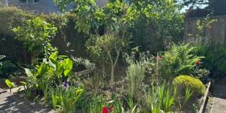 Epic REA- Serene 2 BR/1 BA Flat w/Private Deck & Yard in Lone Mountain Gallery 59