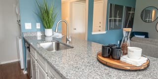 Royal Palms Gallery 13