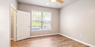 Olympus Fenwick Gallery 7