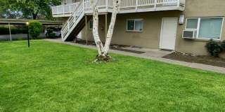 Zah4004(CWP) Gallery 1