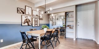 Elm at Panorama Gallery 2