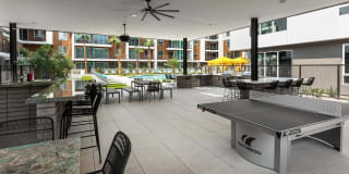 Roadrunner on McDowell Gallery 12