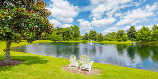 Pine Lake Gallery 12