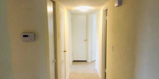 1923 jefferson ave Gallery 13