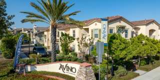 Avino Gallery 4