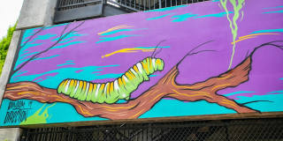 Mariposa Lofts Gallery 31