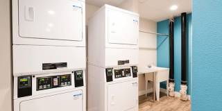 Latitude 40 Gallery 23