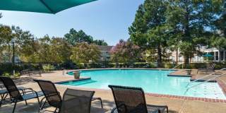 Dogwood Creek Gallery 21