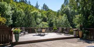 Timberlee Gallery 13