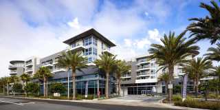 Elements Gallery 100