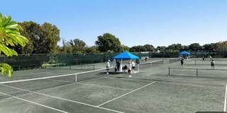 Amazing  2BR Condo in Longboat Key Gallery 10