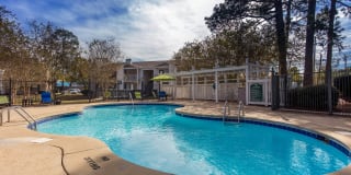 Timber at the Bay Gallery 29