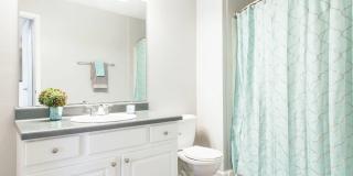 Emerge Oakcrest Gallery 6