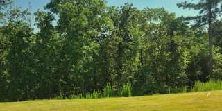 2707 Gracie Lane Gallery 42