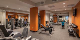 The Residences at Delmar DivINe Gallery 2