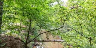 The Falls at Sope Creek Gallery 12