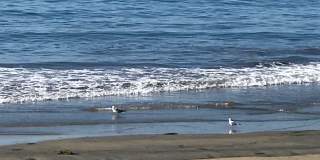 1334 West Balboa Boulevard Gallery 1
