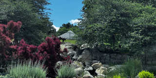 10408 Lone Lynx Gallery 26