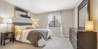 Whisper Hollow Gallery 11