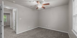 Welcome to Acorn Forest! Gallery 13