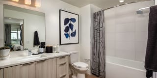 Azul North Park Gallery 37