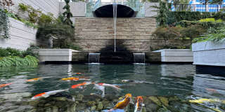 Preston Centre Gallery 34