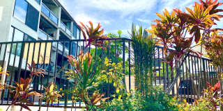 3 bed / 3 bath furnished condo with ocean views! Gallery 21