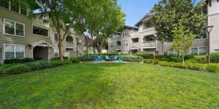 The Presidio Apartments Gallery 43