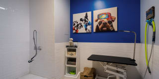 The View at Old City Gallery 33