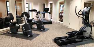 Sycamore Lake Gallery 4