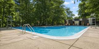 The Forest Apartments Gallery 28
