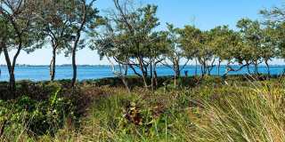 280 SAINT LUCIA DRIVE Gallery 38