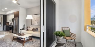 Suriana Boca Gallery 15