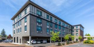 The Dahlia Gallery 1