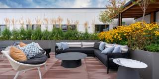 Copal Bellevue Apartments Gallery 50