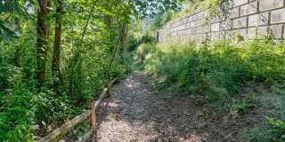Springbrook Reserve Gallery 6