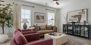 The Carolinian Gallery 3