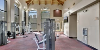 San Montego Gallery 22