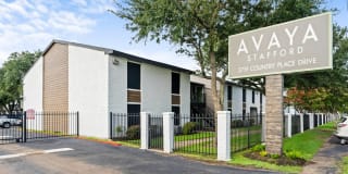 Avaya Stafford Avaya Stafford Gallery 11