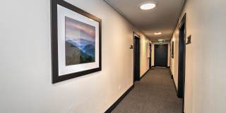 The Mason Gallery 8