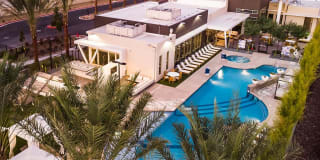 Tanager Tanager Gallery 6