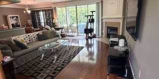 11175 CASTLEMAIN Circle W Gallery 6