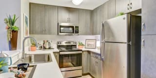 Park Pointe Gallery 4