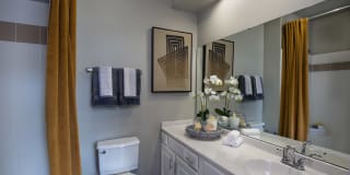 Lake Clearwater Gallery 27