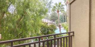 The Oaks Apartments Gallery 15