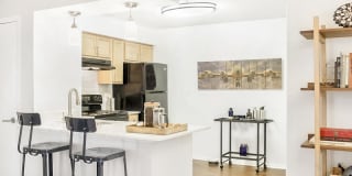 Sawyer Flats Gallery 37