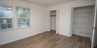 Renovated 5BR Home Minutes from Downtown Columbia | Two Full Kitchens + Fenced Yard ~ Available May 2026! Gallery 17