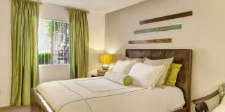 Paradise Falls Gallery 5