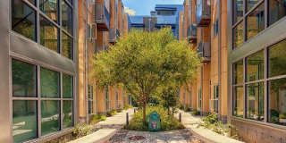 Pearl Studios Gallery 19