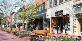 Parc Mosaic Apartment Homes Gallery 26